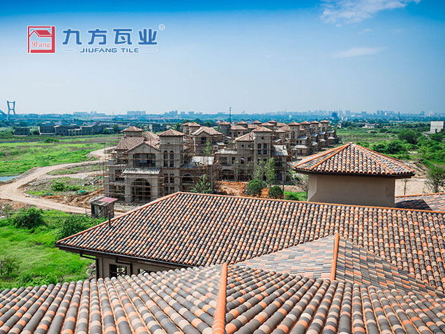 爱情海岸