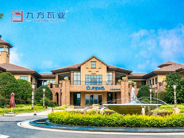 爱情海岸